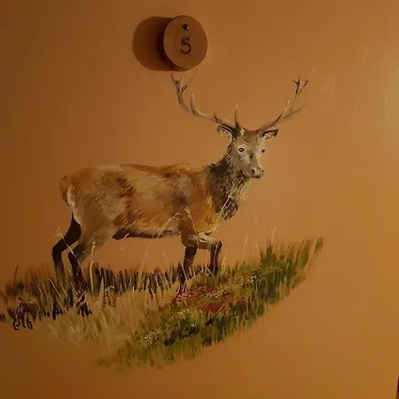Auberge De L'Ours Locanda Vers L'Eglise