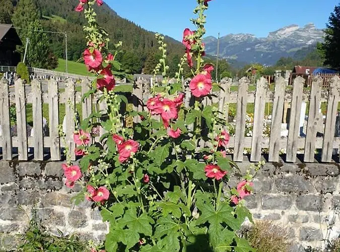 Auberge De L'Ours Herberg Vers L'Eglise