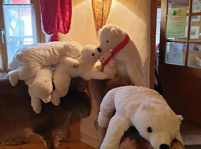 Auberge De L'Ours イン